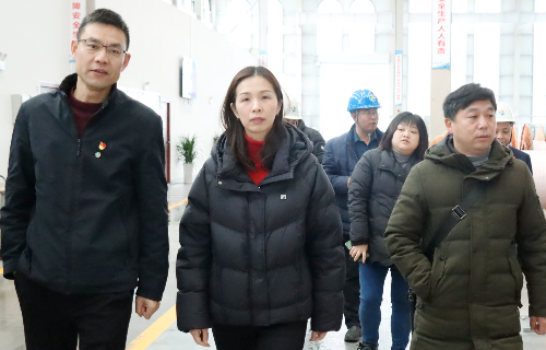 宜賓市工商聯(lián)調(diào)研遠(yuǎn)東股份宜賓智能產(chǎn)業(yè)園